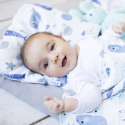 Bamboo baby pillow  Swallows