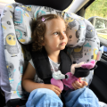 Bamboo car seat cover Hedgehogs girls